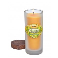 Mimosa Scented Candle