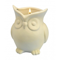 White Birch Scented Owl Candle